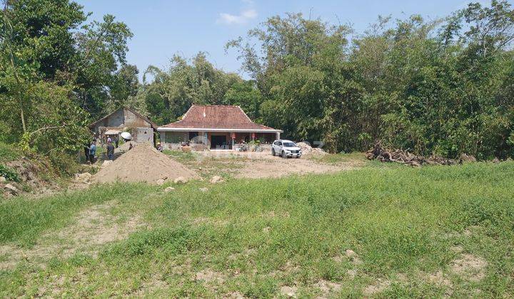 Tanah Jogja View Merapi Dan Sawah Asri Lokasi di Pakem 1