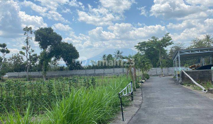 Jual Tanah Kavling Jogja Dengan View Sawah Asri Dan Merapi 1