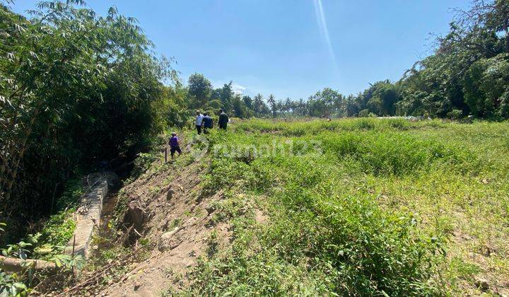 Cicilan Bunga 0 Area Dekat Uii Pusat Tanah Kavling Jogja Murah 2