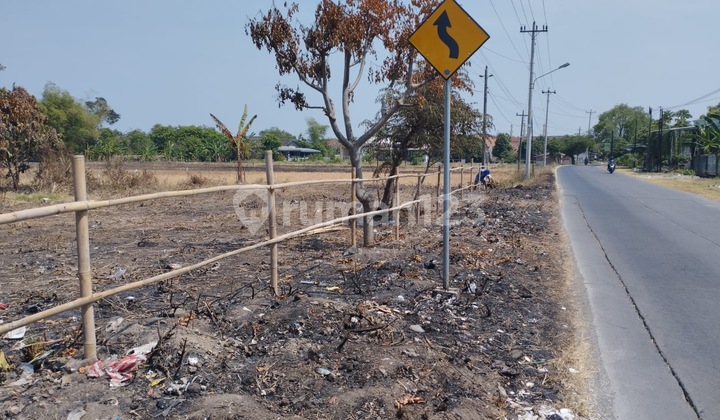 Commercial Land by the Side of Karangmlati Demak Highway Commercial Land by the Side of Karangmlati Demak Highway