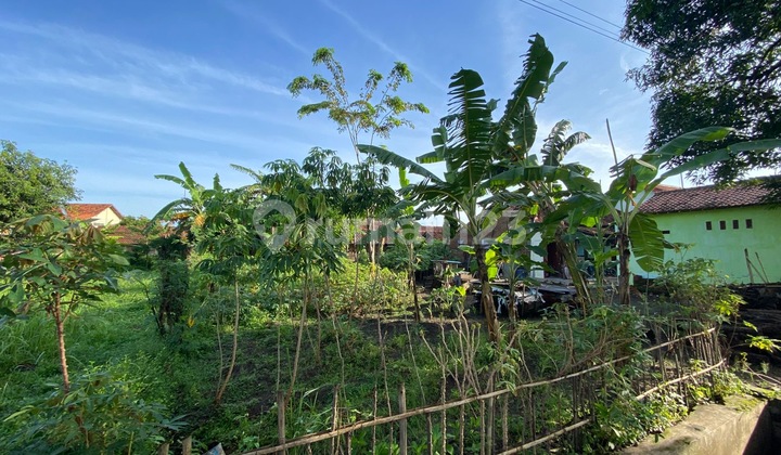 Tanah di Tegal Cocok untuk Pemukiman Maupun Cocok Tanam