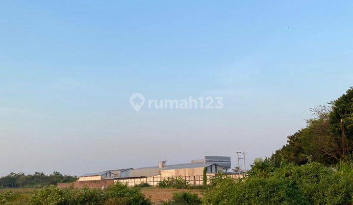 Tanah Pati Strategis Untuk Usaha  2