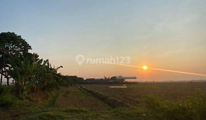 Tanah Pati Strategis Untuk Usaha  1