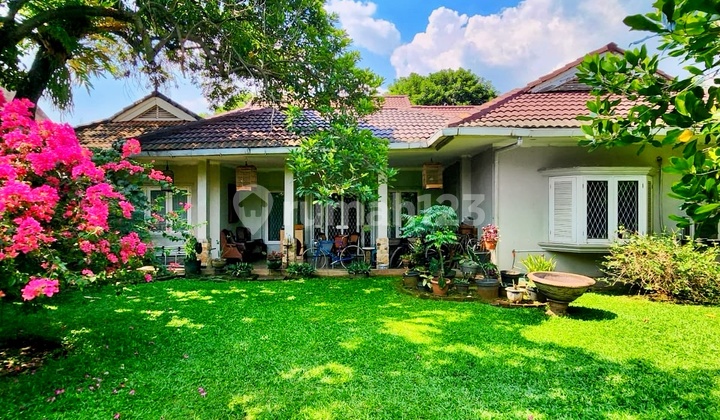 For Sale Rumah Lama Hitung Tanah Dalam Komplek Di Area Cilandak For Sale Rumah Lama Hitung Tanah Dalam Komplek Di Area Cilandak