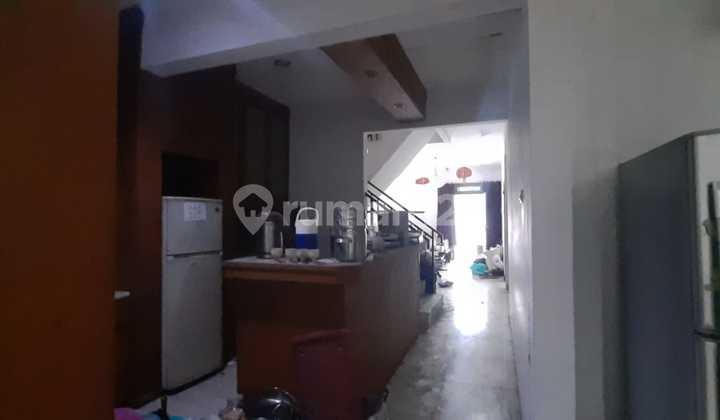 North-Facing Sunter House