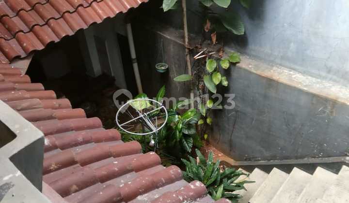 East-Facing Sunter House