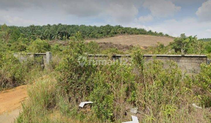 Dijual Cepat Tanah di Pulau Bintan kepulauan Riau + 30 Hektar 1