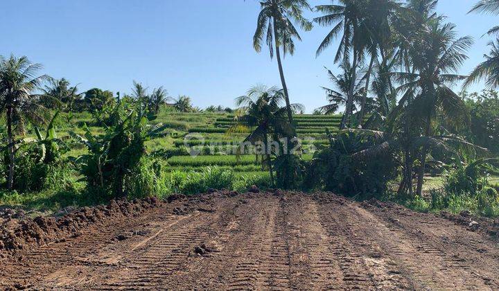 Kavling land near Ubud 2