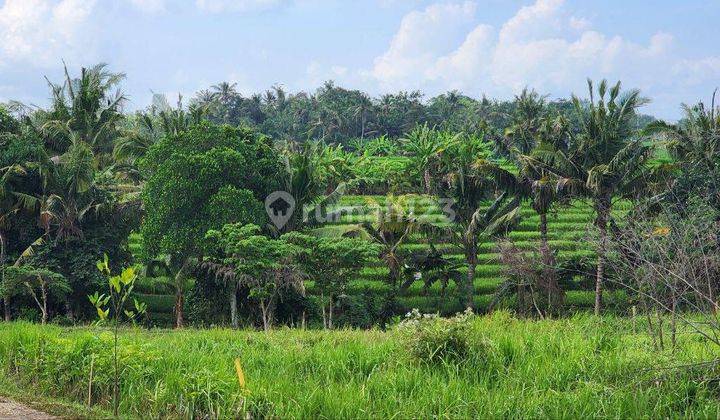 Land for Sale with Rice Field and Beach View in Kedungu Tabanan 2