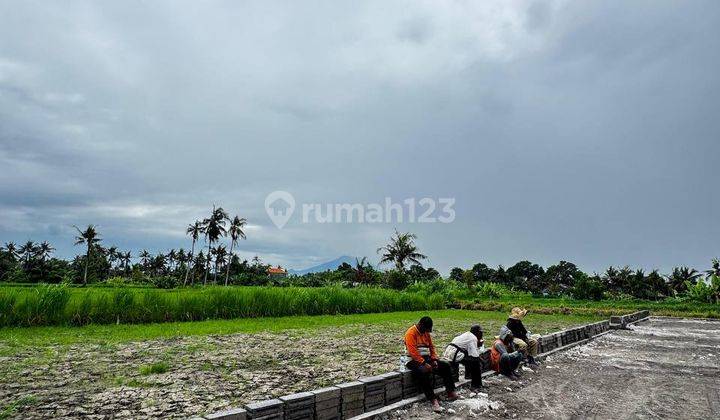 Tanah Dengan View Sawah Di Gianyar Dekat Sanur 2