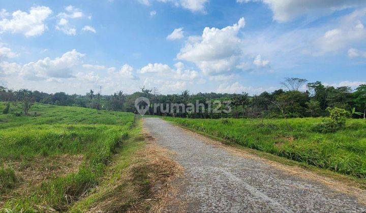 Land for Sale with Rice Field and Beach View in Kedungu Tabanan 1