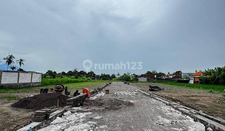 Tanah Dengan View Sawah Di Gianyar Dekat Sanur 1