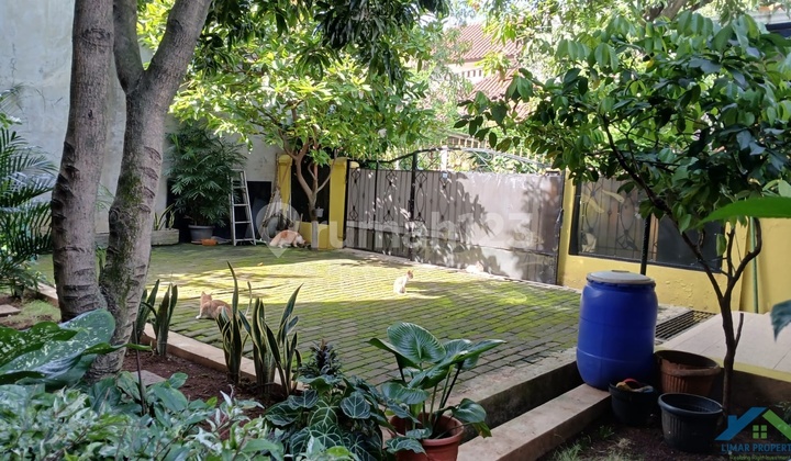 Hook House Ready to Live Comfortable Well-Maintained in Limus Pratama Regency 2