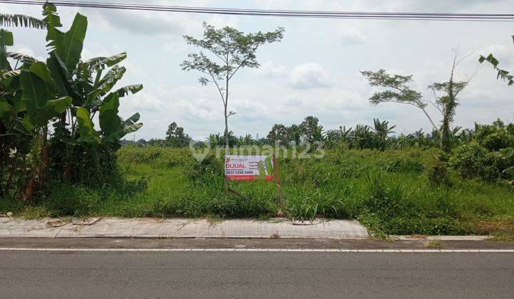 Tanah Pekarangan Dengan View Sawah Dekat Candi Gebang Condong Catur Wedomartani Ngemplak Sleman 1