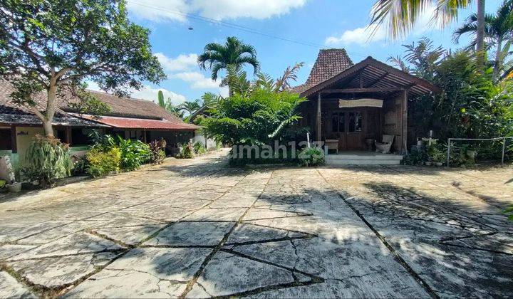 Rumah Gallery Jawa Etnik Di Purwobinangun Pakem Sleman 1