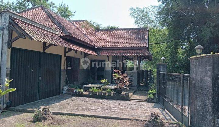 Rumah Nyaman Halaman Luas Barat Hotel Hyatt Palagan Mlati Sleman