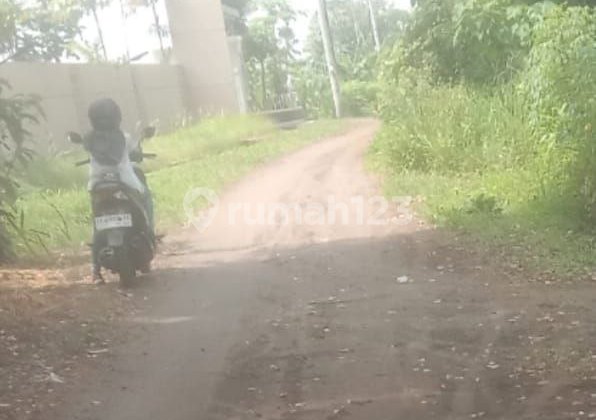 Tanah Pekarangan dekat UNRIYO Tajem Maguwoharjo Depok Sleman