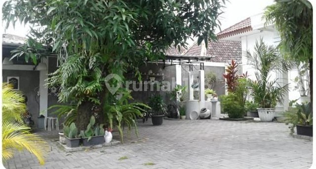 Colonial Style House with Furniture in Pakualaman Yogyakarta 2