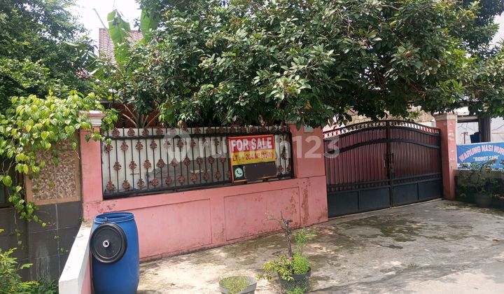 Well-Maintained House, Large Land, Affordable Price, Flood-Free, Safe 2