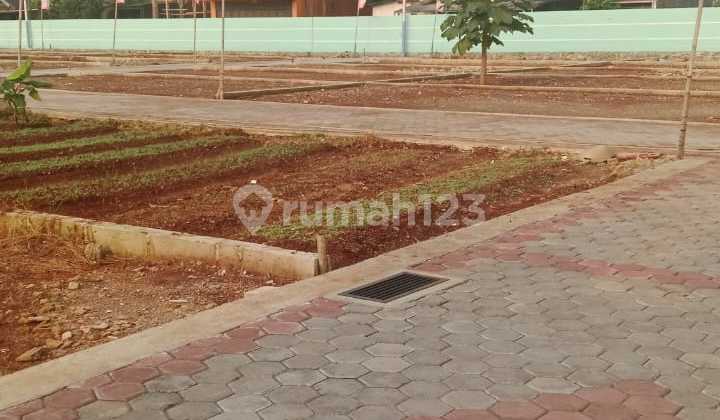 Tanah Kavling Siap Bangun Sertifikat Sudah Pecah di Cilangkap Cipayung Jakarta Timur