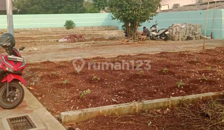 Tanah Kavling Siap Bangun Sertifikat Sudah Pecah di Cilangkap Cipayung Jakarta Timur