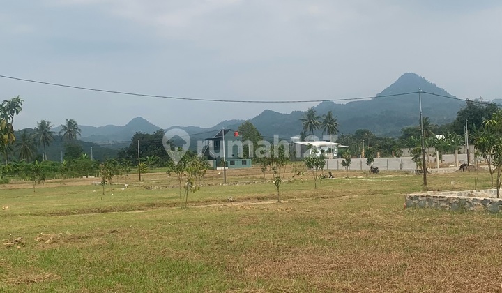 Tanah Kavling Siap Bangun Tanjung Sari Bogor Timur Pinggirtransyogi