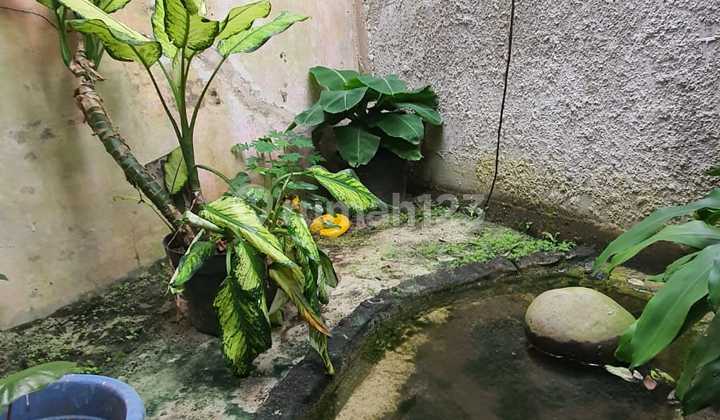 Rumah Strategis di Johar Baru, Jakarta Pusat 2