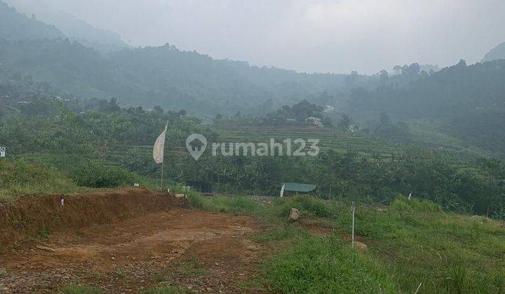 Hot Investasi Kavling Wisata Siap Bangun 1000 Mdpl Puncak Bogor  1