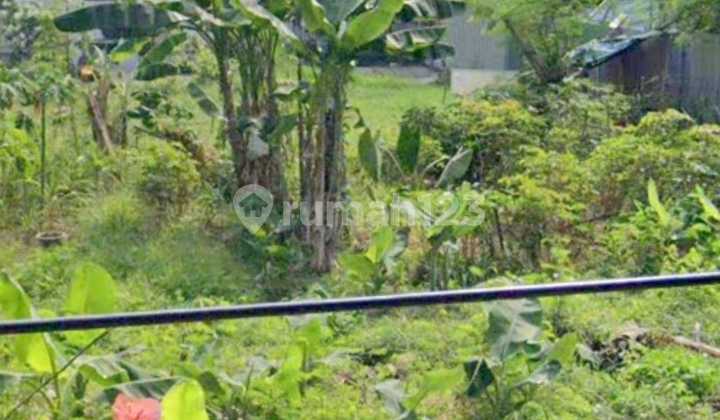 Tanah Kavling di Komplek Deplu Pondok Aren, Tangerang Selatan Tanah Kavling di Komplek Deplu Pondok Aren, Tangerang Selatan