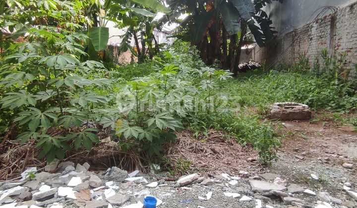 Tanah Murah Siap Bangun di Komplek Billymoon Pondok Kelapa Tanah Murah Siap Bangun di Komplek Billymoon Pondok Kelapa