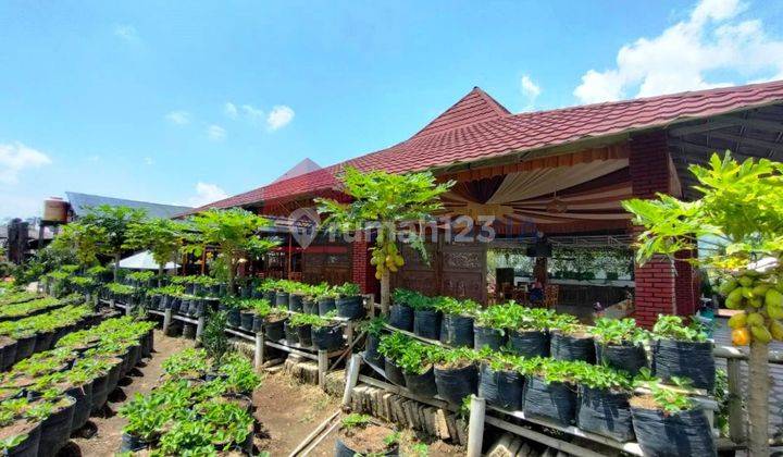 Ruang Usaha Ideal di Pujon Kidul Lokasi Strategis, Cocok Untuk Berbagai Macam Bisnis 2