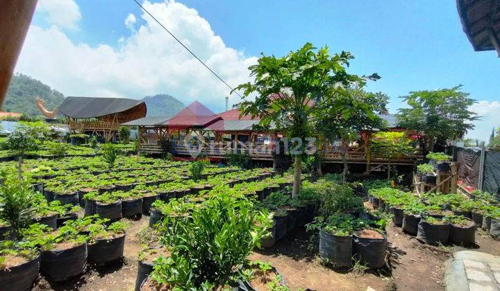 Ruang Usaha Ideal di Pujon Kidul Lokasi Strategis, Cocok Untuk Berbagai Macam Bisnis 2