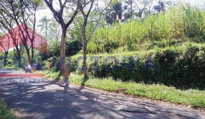 DIJUAL TANAH LUAS Di daerah Wonosari Lawang, dekat dengan Wisata Tanaka Waterfall dan cocok untuk perternakan dan perkebunan  1