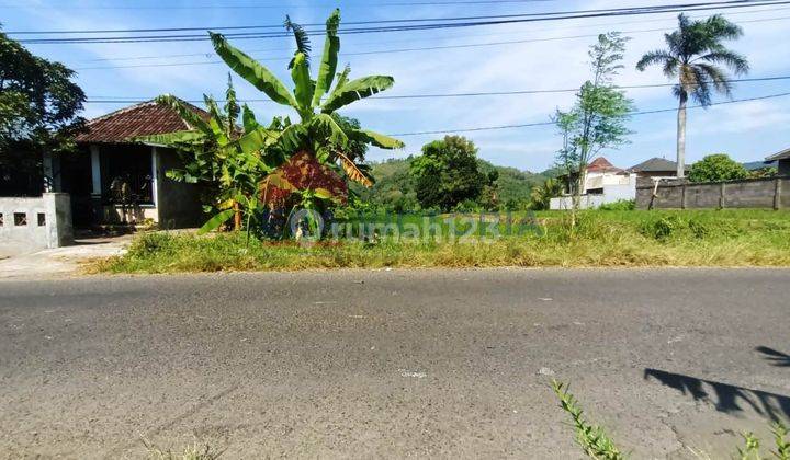 DIJUAL Tanah di daerah jalan poros Lawang, dekat dengan pasar lawang dan cocok untuk lahan pertanian atau usaha lainnya 2