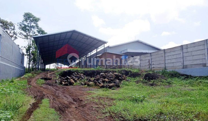 Warehouse for rent in the Singosari area is located in the Industrial zone, accessible for large vehicles, suitable for Material, vegetable warehouses, etc. Warehouse for rent in the Singosari area is located in the Industrial zone, accessible for large vehicles, suitable for Material, vegetable warehouses, etc.