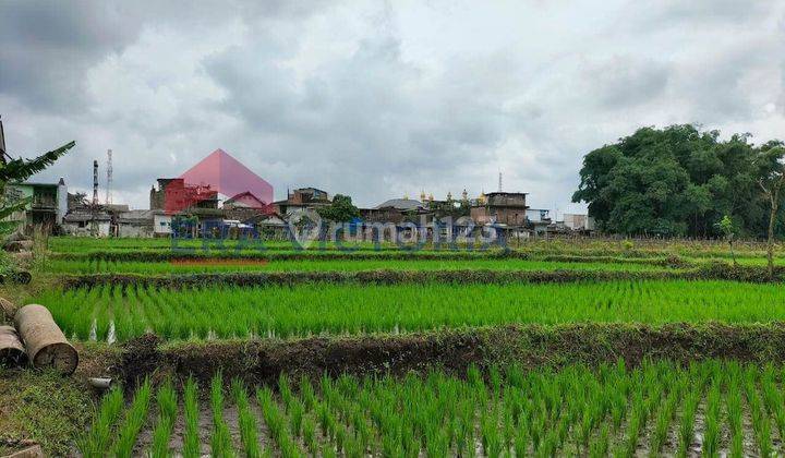 Tanah luas di Jalan Raya Malang-Surabaya, dekat pabrik BDF, puskesmas Ardimulyo Kota Malang 2