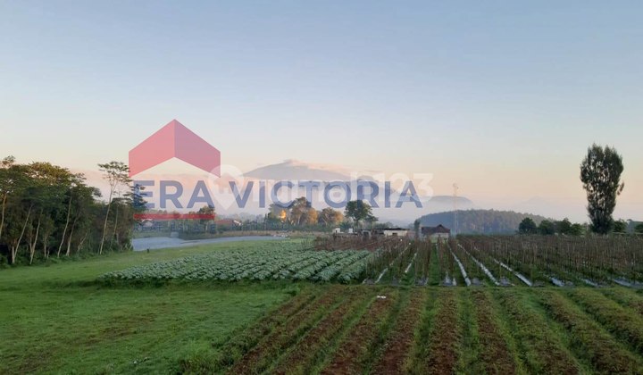 Tanah lahan luas di daerah Nongkojajar Pasuruan, Dekat Pasar Nongkojajar, Pananjakan Bromo, Jalur Nongkojajar-Jabung Cocok untuk Teaching Farm, Perkebunan, Peternakan