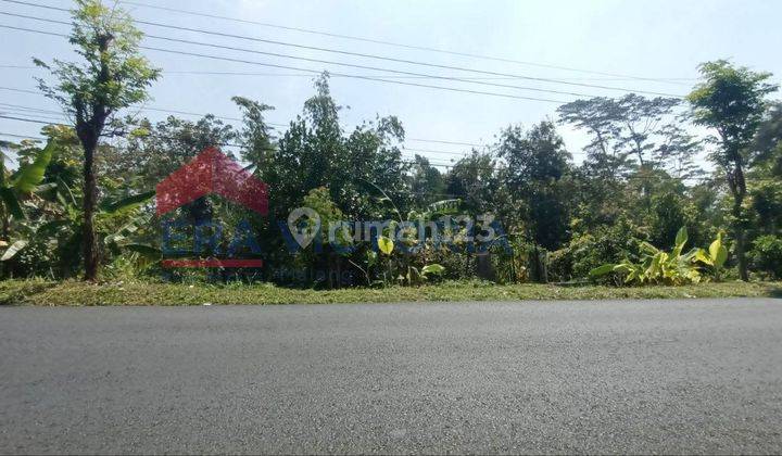 Dijual Tanah di Lokasi Strategis di Poros Jalan Lawang, Dekat Dengan Wisata Kebun Teh Wonosari 1