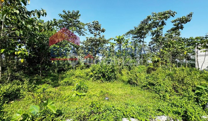 Tanah kavling siap bangun di daerah Pakis, Lokasi bagus, dekat Bandara ABD Saleh dan Exit Tol Pakis memiliki akses jalan lebar