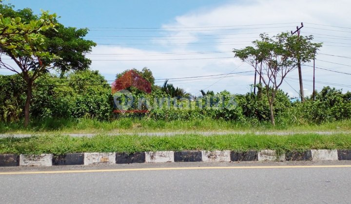 Land for sale in Buta Kota Batu area, Padang City, quick access to Minang International Airport, Commercial Area, with beautiful Hills view. Land for sale in Buta Kota Batu area, Padang City, quick access to Minang International Airport, Commercial Area, with beautiful Hills view.