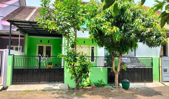 Rumah 1 lt di Tlogomas 2