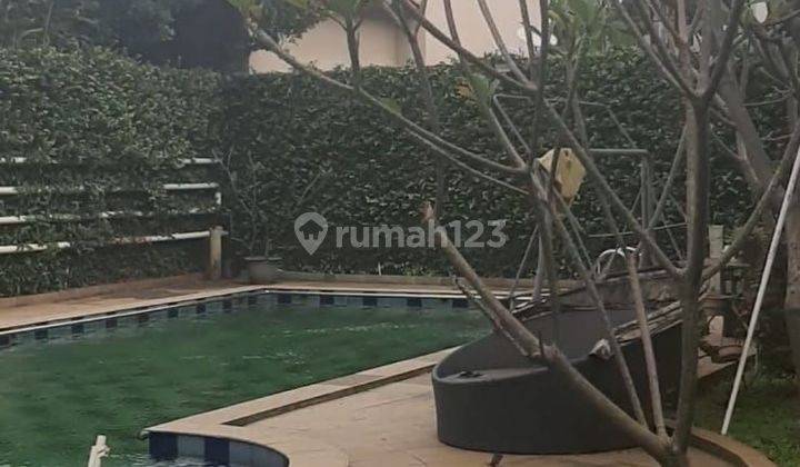 Rumah Elit Dan Besar, Ada Swimming Pool, Kemang Pratama Sshi 2