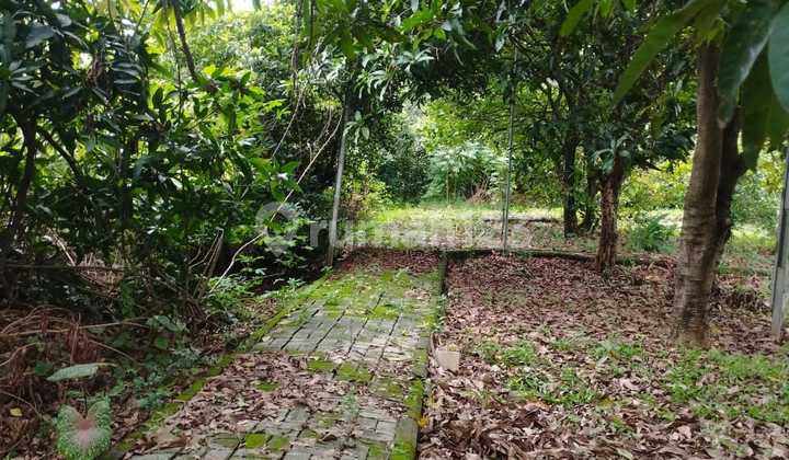 Land Suitable for Building a Cluster in Jatikramat, Bekasi