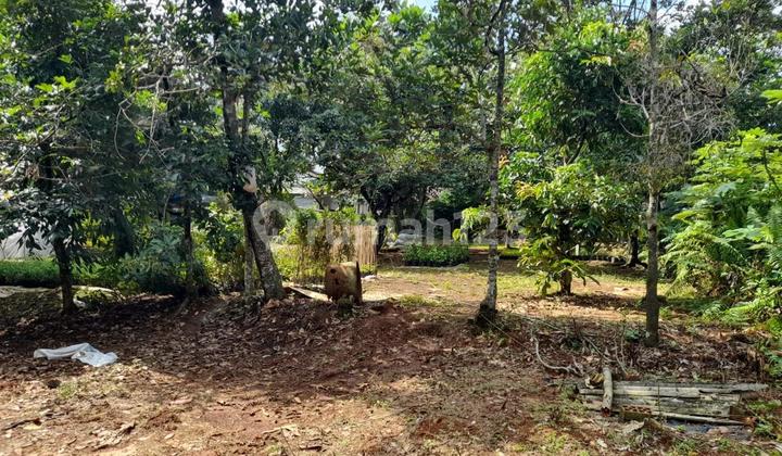 Tanah Dekat Sawangan Residence Parung Bogor Tanah Dekat Sawangan Residence Parung Bogor