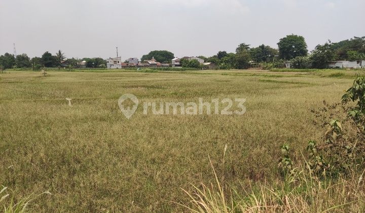 Empty Land Near Toll Road in Cibarusah Cikarang Bekasi Empty Land Near Toll Road in Cibarusah Cikarang Bekasi