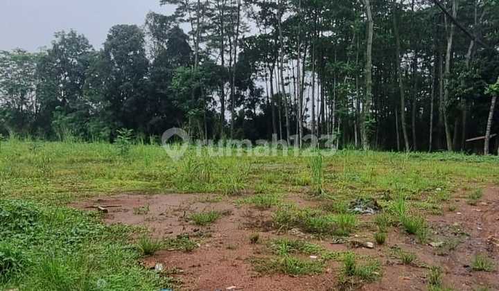 Jarang Ada Tanah Komersil Premium Bebas Banjir di Serpong Tanggerang Selatan Jarang Ada Tanah Komersil Premium Bebas Banjir di Serpong Tanggerang Selatan