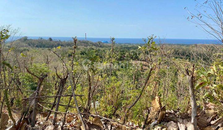 Tanah View Gunung dan Laut di dekat Lovina Buleleng Bali 1