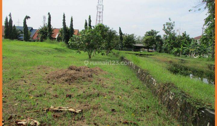 Tanah Lelang lokasi strategis di Lidah Wetan Pinus Harapan Wiyung 1