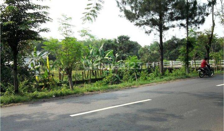 Tanah di Purwosari strategis di jln raya Purwosari - Pasuruan 1