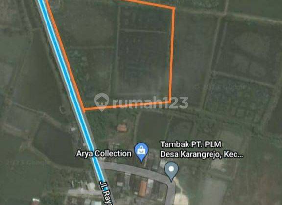 Tanah Tambak Di Raya Pangkah Ujung Pangkah Gresik 1